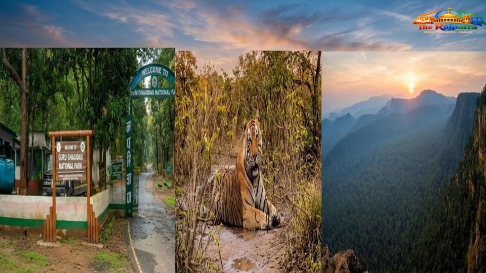 बैकुंठपुर जिला: प्राकृतिक सौंदर्य, ऐतिहासिक विरासत और कोयला संपदा से समृद्ध छत्तीसगढ़ का महत्वपूर्ण क्षेत्र – घने वनों, राष्ट्रीय उद्यान, जलप्रपातों और विशाल कोयला भंडारों के कारण बैकुंठपुर जिला पर्यटन एवं आर्थिक विकास का प्रमुख केंद्र बनकर उभरा