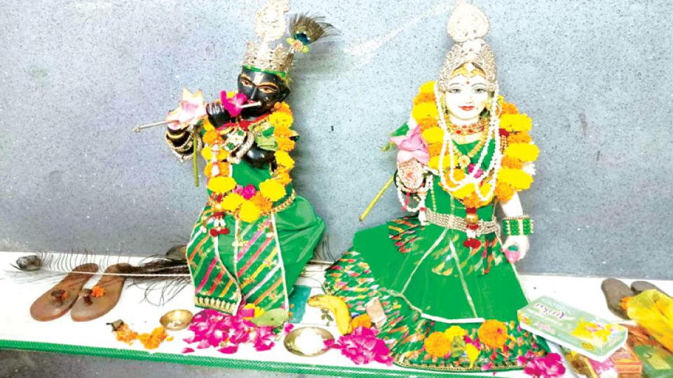 मधु श्रावणी (कजरी तीज) पर राधा-कृष्ण मंदिर में हुआ हरित श्रृंगार, महिलाओं ने प्रस्तुत किए भजन-कीर्तन